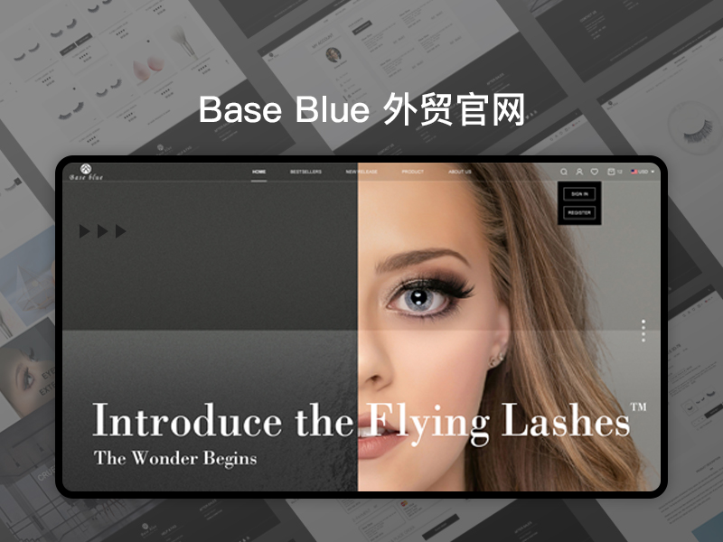 [响应式网站]BaseBlue官网 外贸企业建站定制开发