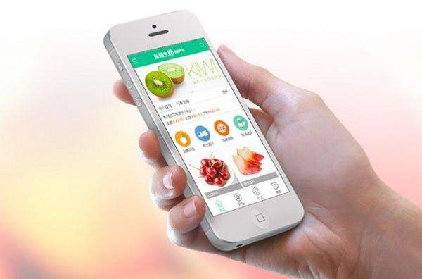生鲜配送app制作价格-广州至隆科技有限公司
