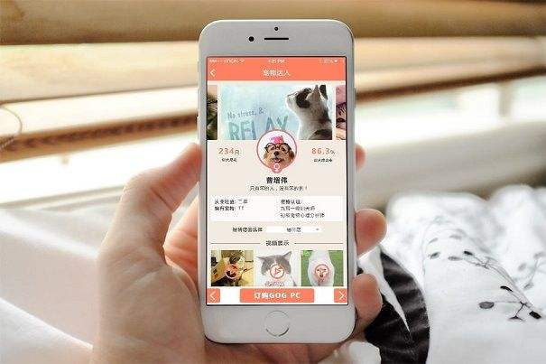 宠物社区app开发基本功能有哪些-广州至隆科技有限公司