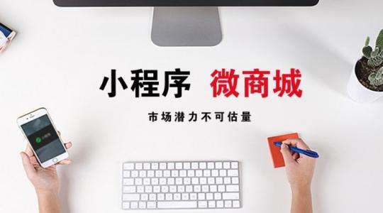 做一个商城小程序要多少钱-广州至隆科技有限公司